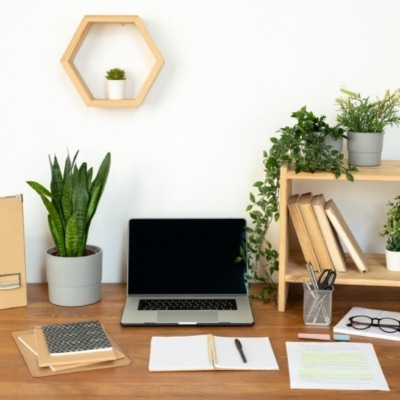 Six reasons to work with an expert on your mortgage renewal